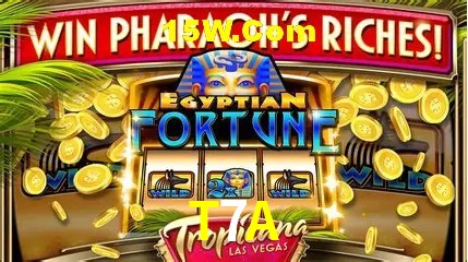 Provedores de Jogos T7A